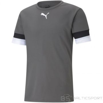 Puma Футболка teamRISE Smoked M 704932 13 (M)