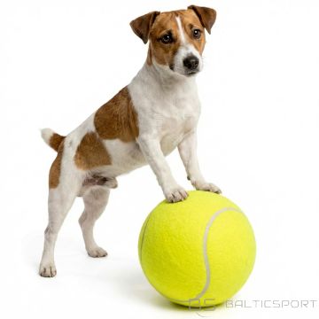 Eddy Toys TENISA BUMBIŅA XL 22 CM