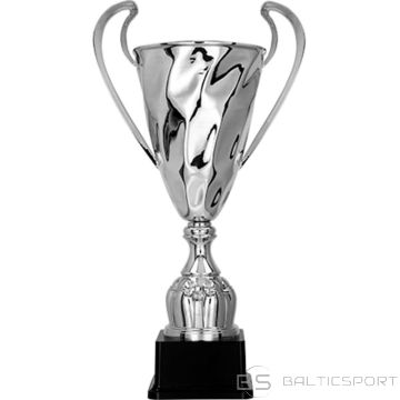 BS Sudraba metāla krūze (nav pieejama)