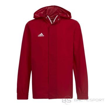 Adidas Jaka Entrada 22 jebkuriem laikapstākļiem Jr HG6300 (116)