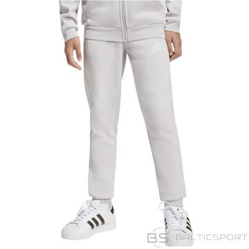 Adidas ENTRADA 26 Sweat Panty Junior JZ9137 / gray / 152 cm