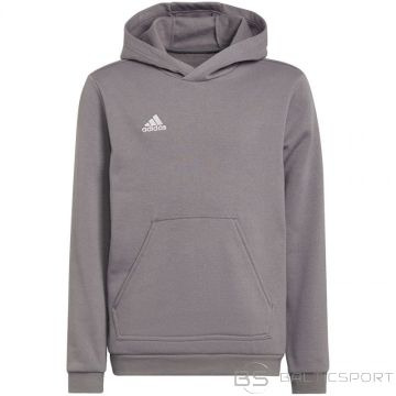 Adidas Толстовка Entrada 22 Hoody Jr H57515 (164 см)
