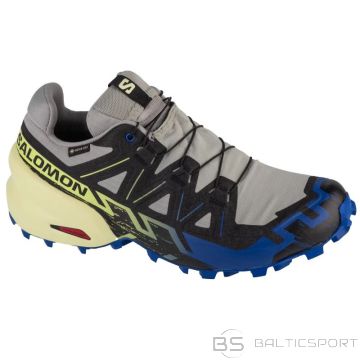 Salomon Speedcross 6 GTX M 475840 shoes (42)