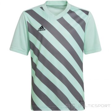 Adidas Футболка Entrada 22 Graphic Jersey Jr HF0127 (116 см)