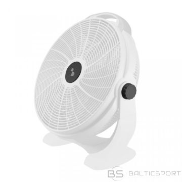 Beper P206VEN561