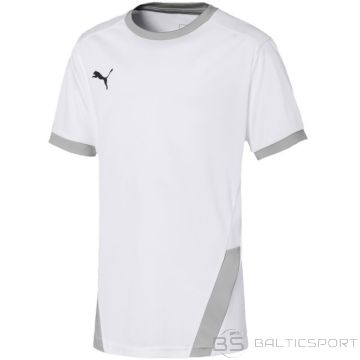 Puma teamGOAL 23 Jersey Jr T-shirt 704160 04 (164cm)