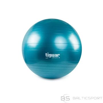 Tiguar Предохранитель для гимнастического мяча плюс TI-SP0075M (Н/Д)