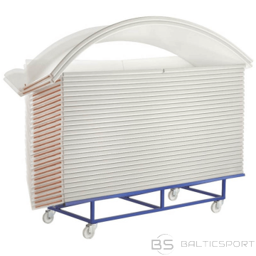 Florbola borti ACTIVE HEAVY IFF INDOOR - Balts