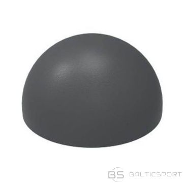 REAX BALANCE TRAINER 45 LĪDZSVARA PLATFORMA