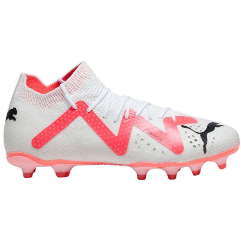 Puma crampons future online