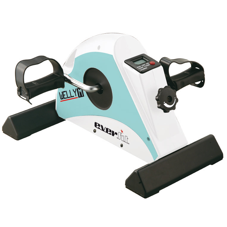 Exercise bike EVERFIT mini velo trenažieries