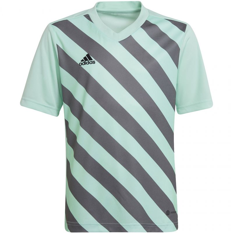 Adidas T-krekls Entrada 22 Graphic Jersey
