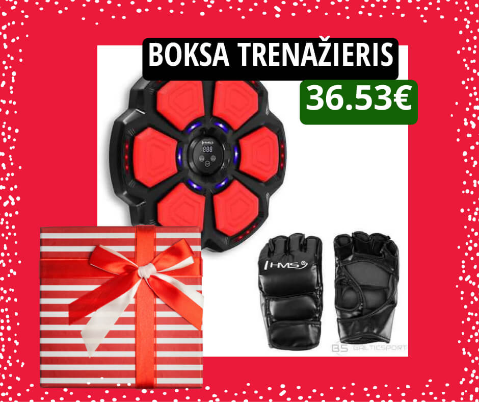 Boksa trenažieris ar Bluetooth 